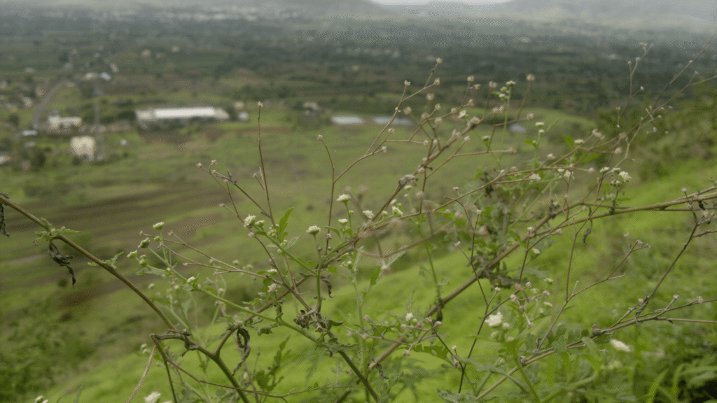 Exciting One Day Trip from Pune for Family Adventure and Fun