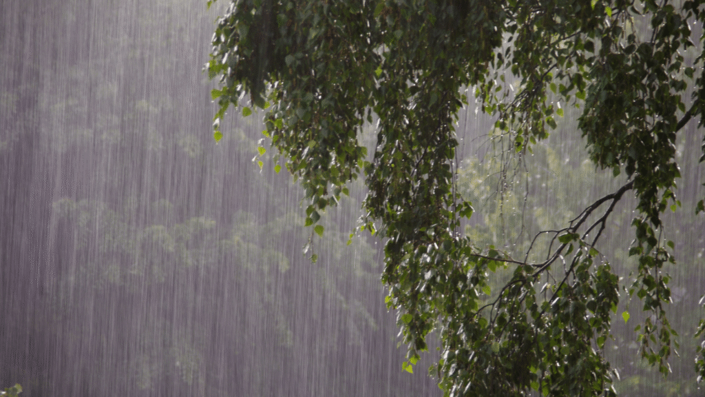 Explore the Best Rainy Season Getaways Near Pune, Including the Scenic Bhor Resort
