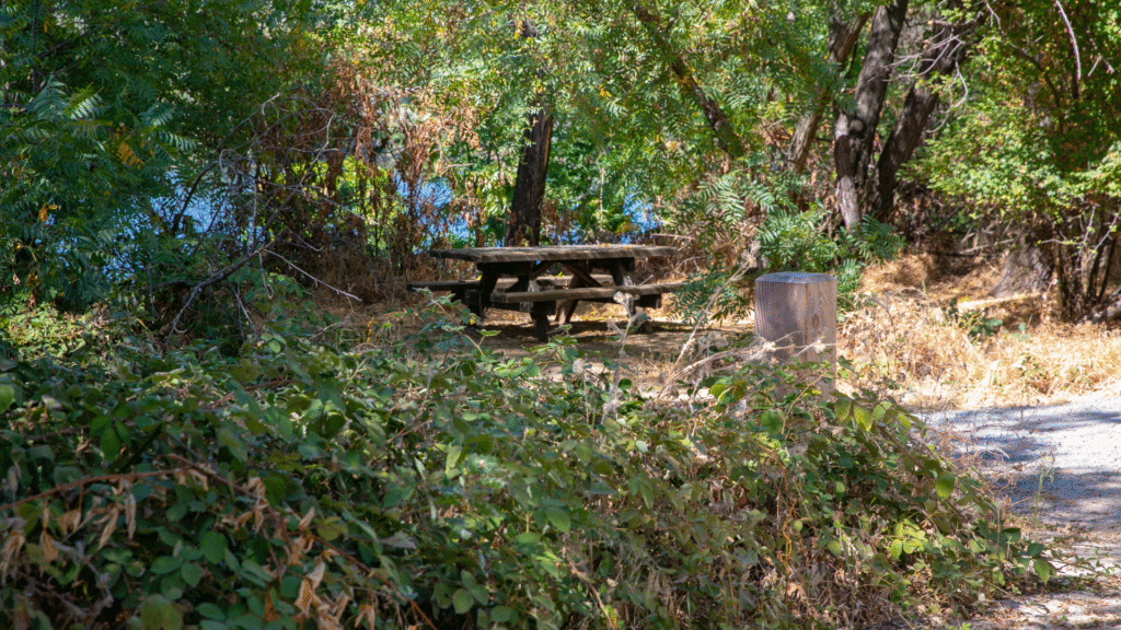 The Ultimate Nature Retreat Near Pune for a Serene 2025 Escape