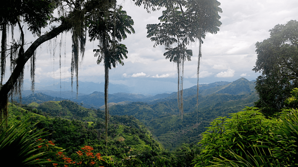 Best Monsoon 1 Day Trip Near Pune